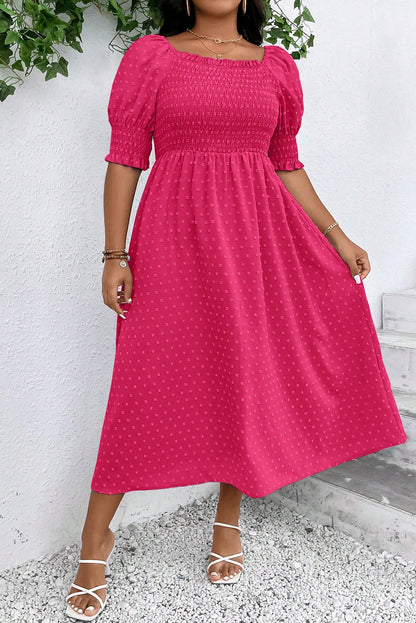 Sachet Pink Swiss Dot Smocked Frilled Neckline Short Sleeve Dress